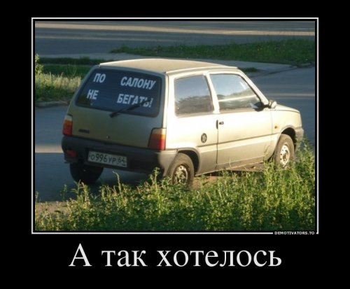 1_1.jpg