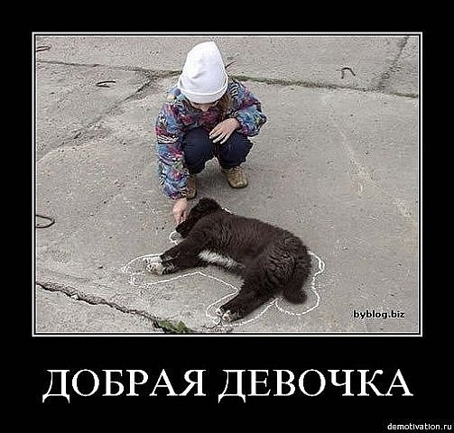 test-41098.jpeg