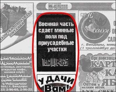 picture-40969.jpeg