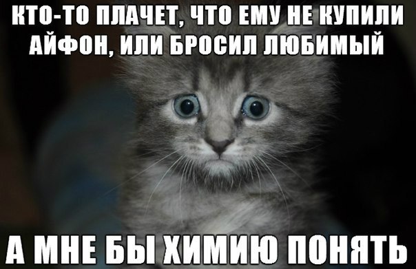 eCkoRNs6i88.jpg