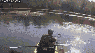 132225.gif