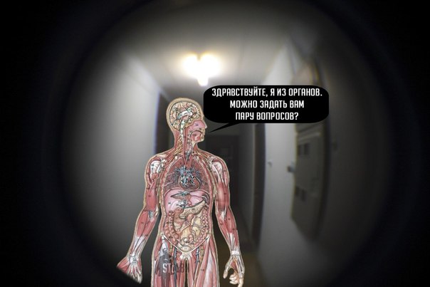 ZYsjPLnc25Q.jpg