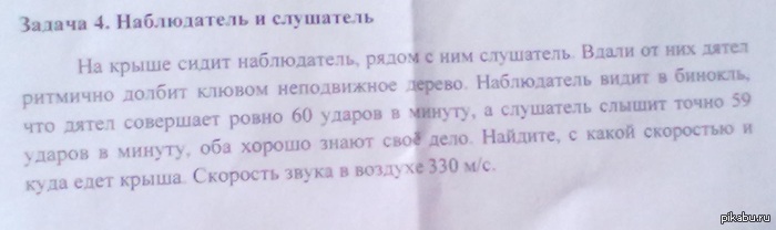 дятел.jpg