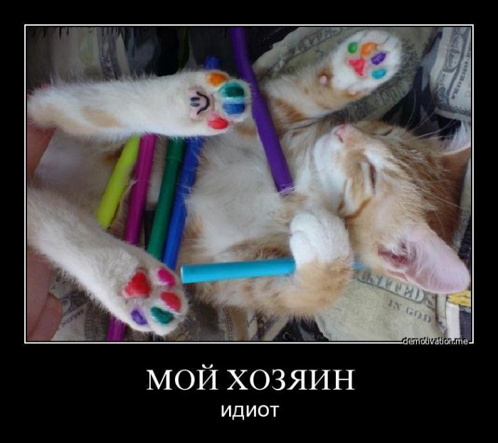 демотиваторы-44031.jpeg