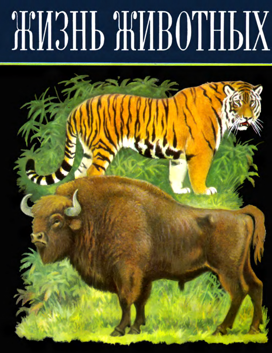 Жизнь животных том 6.png