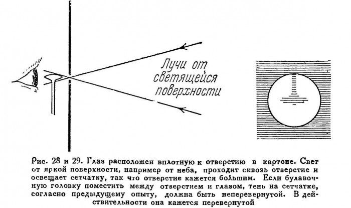 0908397_D49CA_bregg_u_g_mir_sveta_052.jpg