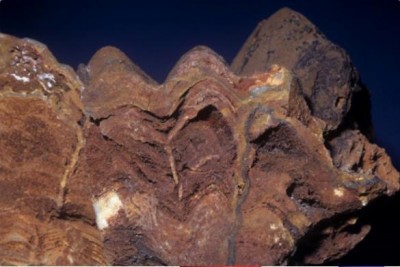 11-890.jpg