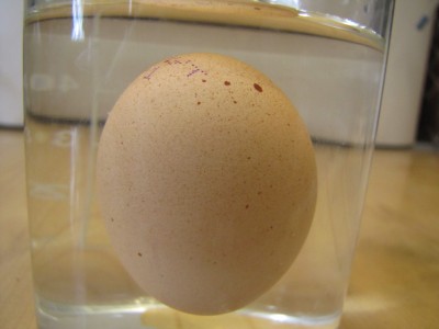 egg.jpg