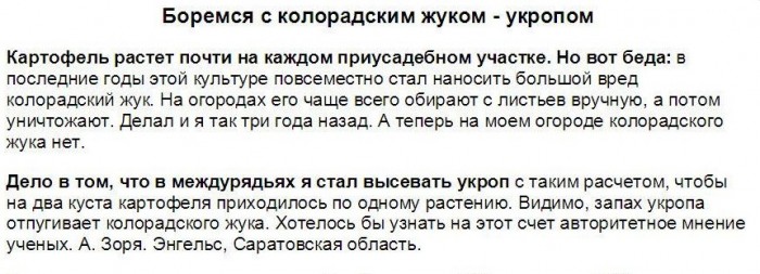 1140080_original.jpg