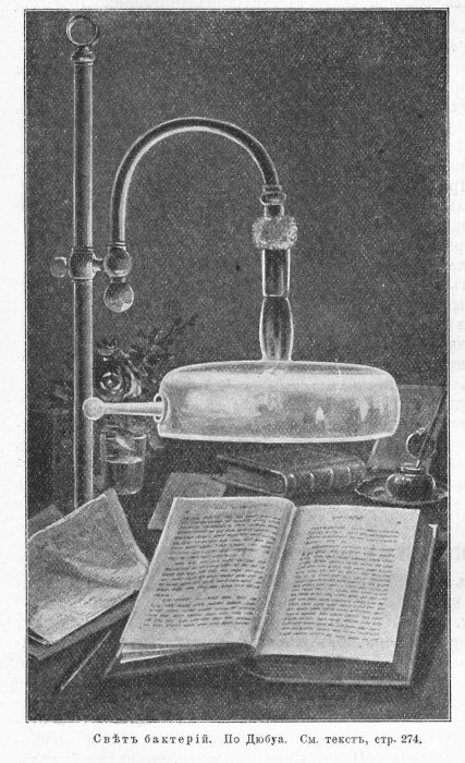 Мейер В. - Жизнь природы. Картина физических и химических явлений, 1905_472.jpg