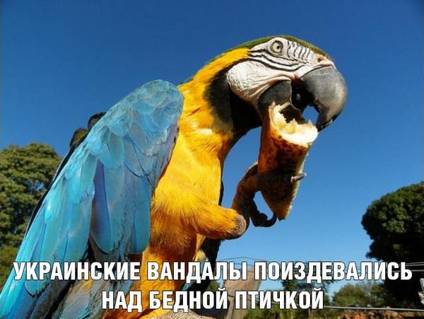 BvpSxOJIMAEEc_I[1].jpg