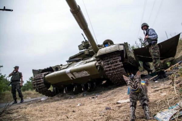 BvyHJKiCQAAvWu_[1].jpg