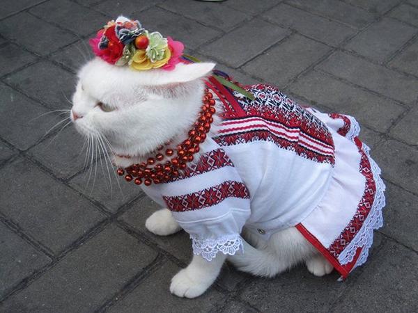 BxhGbXWIIAAaqXS[1].jpg
