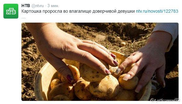 BzC2QBTIQAAJlW9[1].jpg