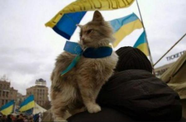 BzRzVuOCAAAyzKS[1].jpg