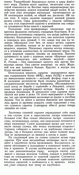 Штайн Лотар. В черных шатрах бедуинов  М.  «Наука», 1981 (стр 58-59).gif