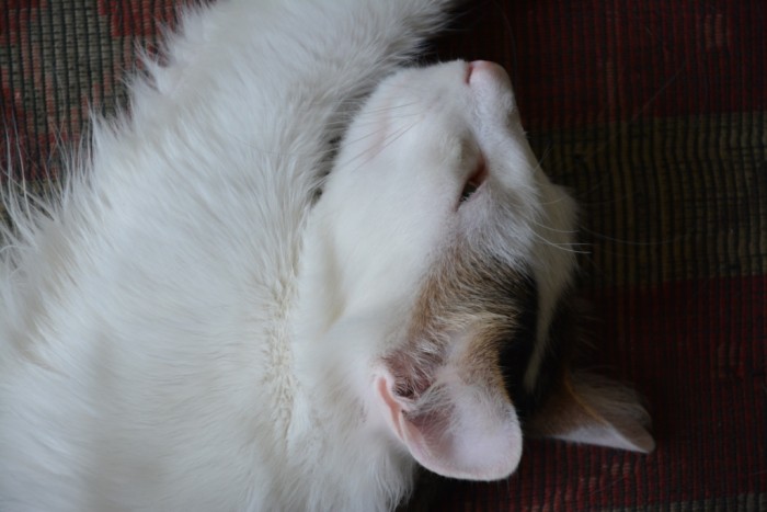 DSC_3942.JPG