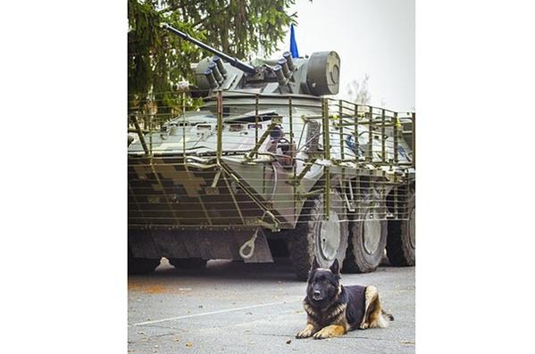 B2qBQmAIEAAfGhq[1].jpg