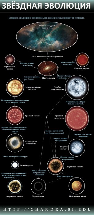 stellar_ev_infograph53.jpg