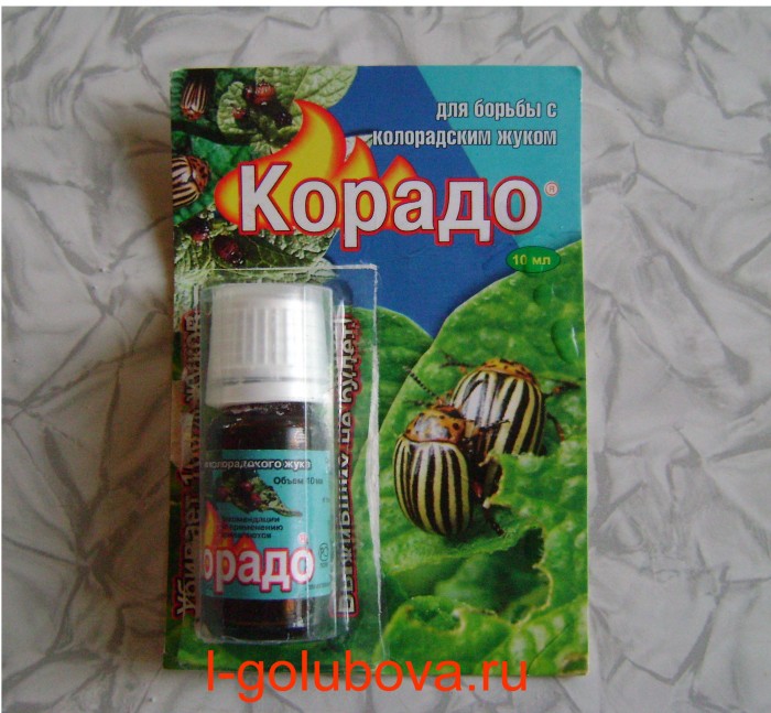 yadohimikat-Korado.jpg