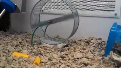 Excite España_10153251209948032.mp4_snapshot_00.01_[2014.12.17_00.23.23].jpg