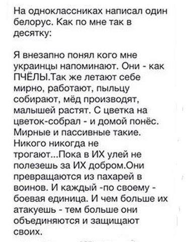 B5KrBQECEAAjZBD.jpg large.jpg