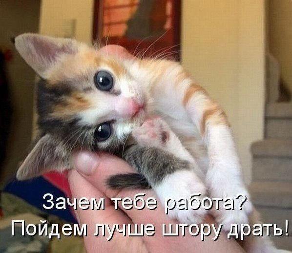 B6YJzpIIgAA822N[1].jpg