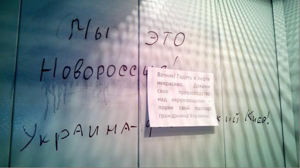 B65qDUbIgAAH5Fi.jpg large.jpg