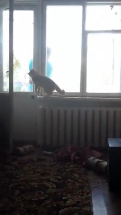 Rus.Tvnet_915441645134753.mp4_snapshot_00.59_[2015.01.10_14.31.28].jpg