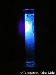 fkl_expo_fluor_kastanie_1[1].jpg