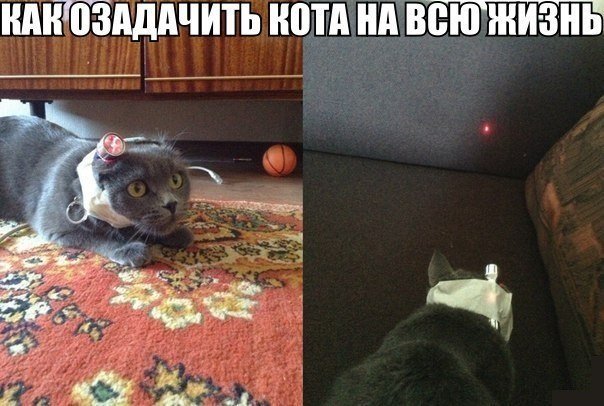 _ZVflVa4rvE[1].jpg