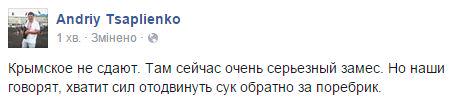 B7zymoQIgAARU_7.jpg large.jpg