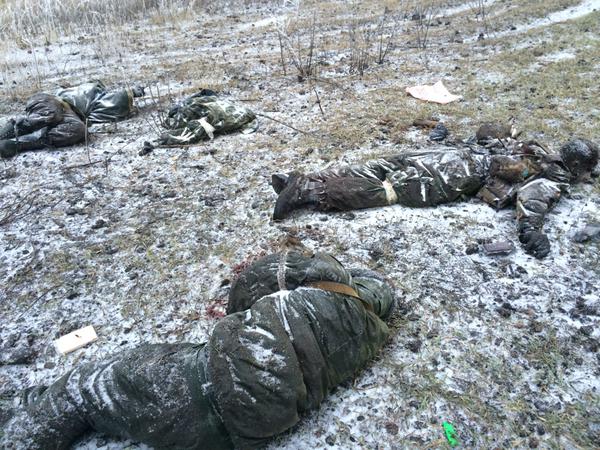 B8lVDavCQAAlro9[1].jpg