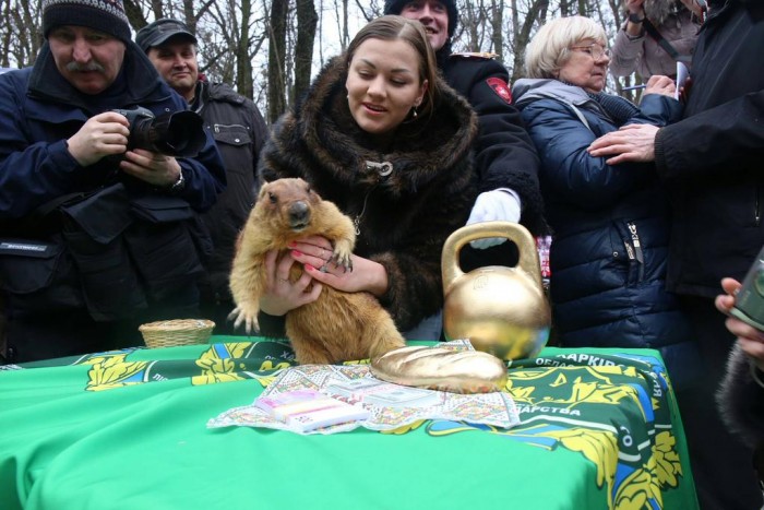 B81bgEKCYAAIFg4.jpg large.jpg