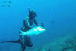 tumblr_mwg37epQon1qdlh1io1_r1_250.gif