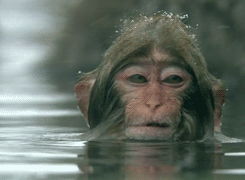 doc102774533_377968483.gif