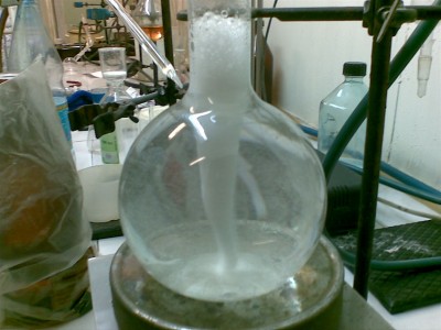 ABCD00011.JPG