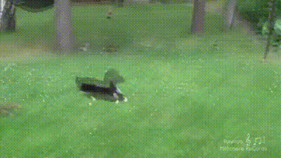 doc102774533_380513236.gif