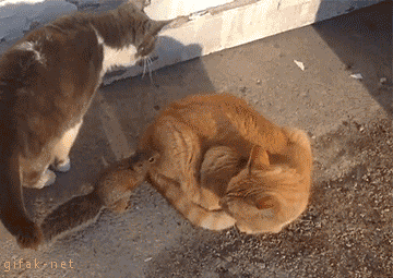 doc102774533_380511692.gif
