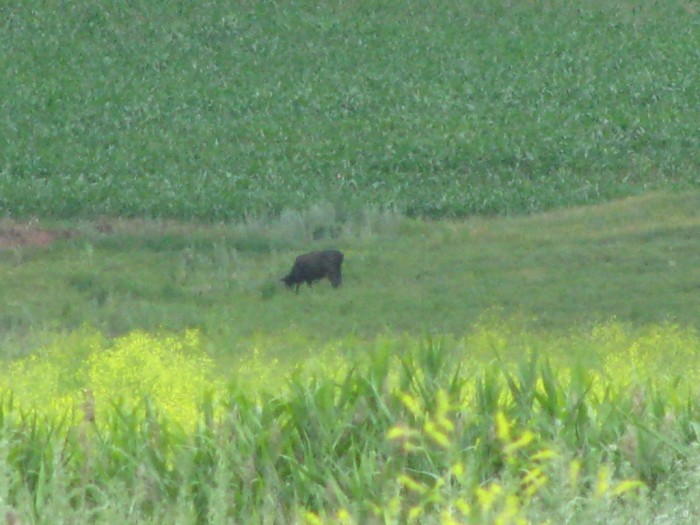 IMG_1469.JPG