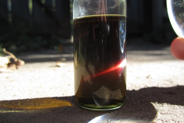 Fluorescence_of_Chlorophyll-2.jpg