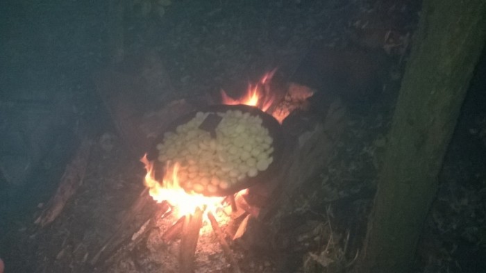 WP_20150815_034.jpg
