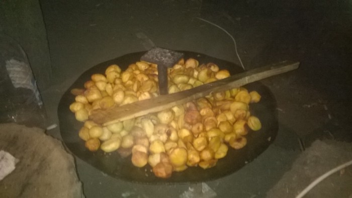 WP_20150815_037.jpg
