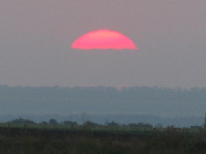 IMG_3383.JPG