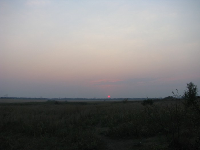 IMG_3531.JPG