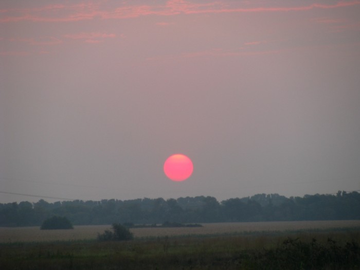 IMG_3533.JPG