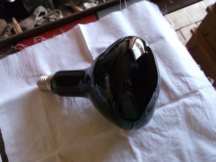 DSCF0247.jpg