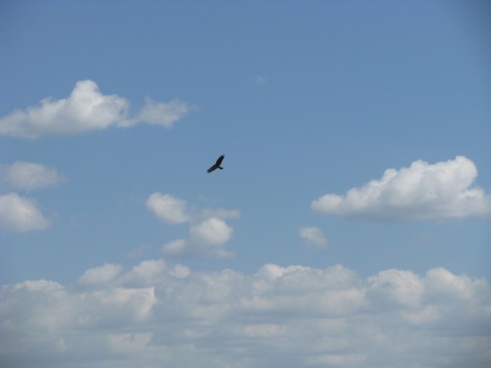 IMG_3057.JPG