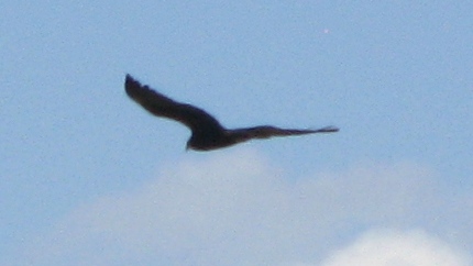 IMG_3058.JPG