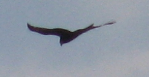 IMG_3062.JPG